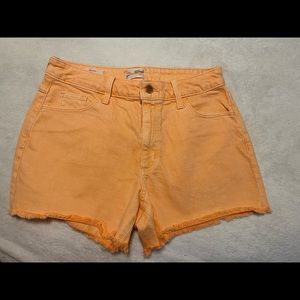 Universal Thread (target l) shorts